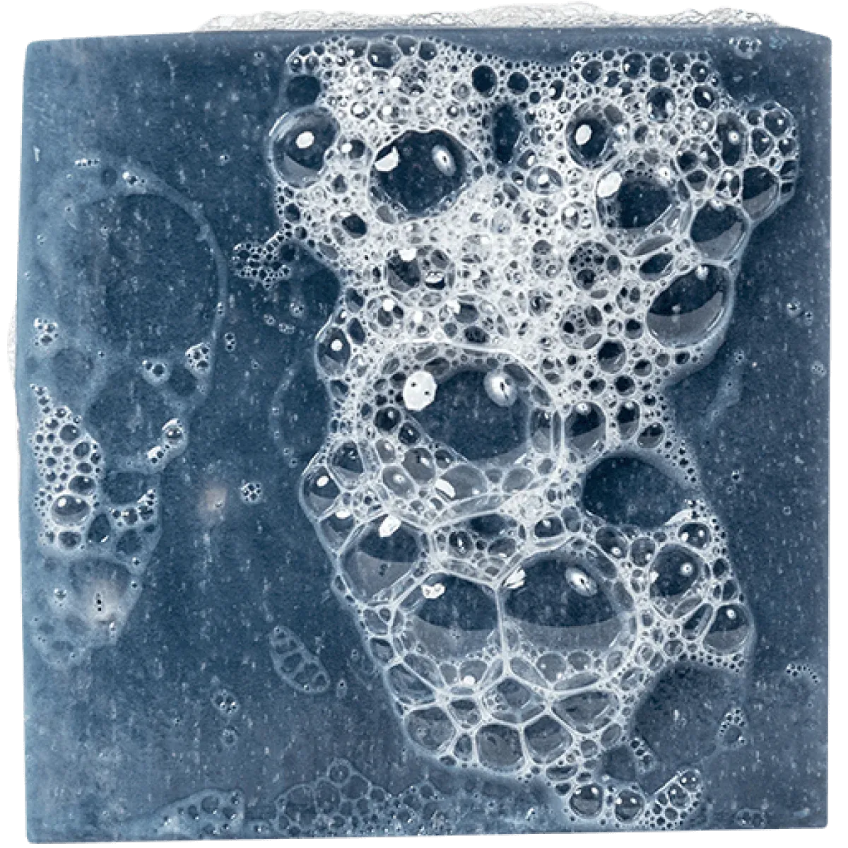 Dr Squatch Fresh Falls Soap